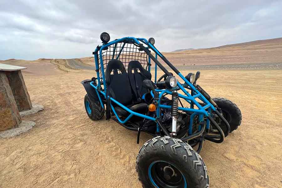 Las Mejores Actividades y Recomendaciones en Paracas y Huacachina desde Lima